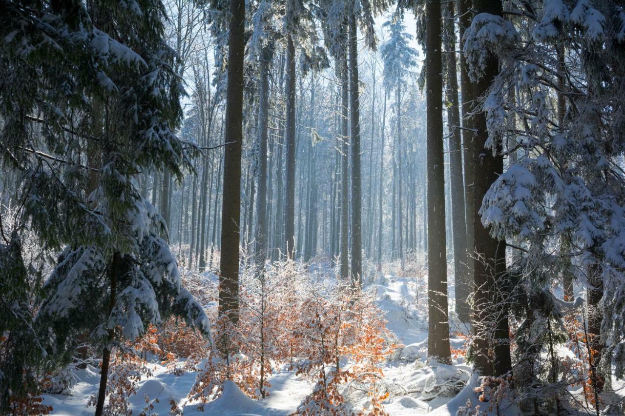 Agroturystyka Sloszowka Duszniki Zdrój Exteriér fotografie