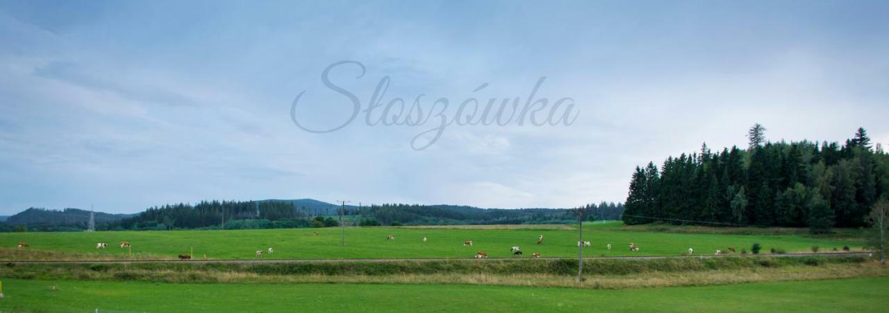 Agroturystyka Sloszowka Duszniki Zdrój Exteriér fotografie